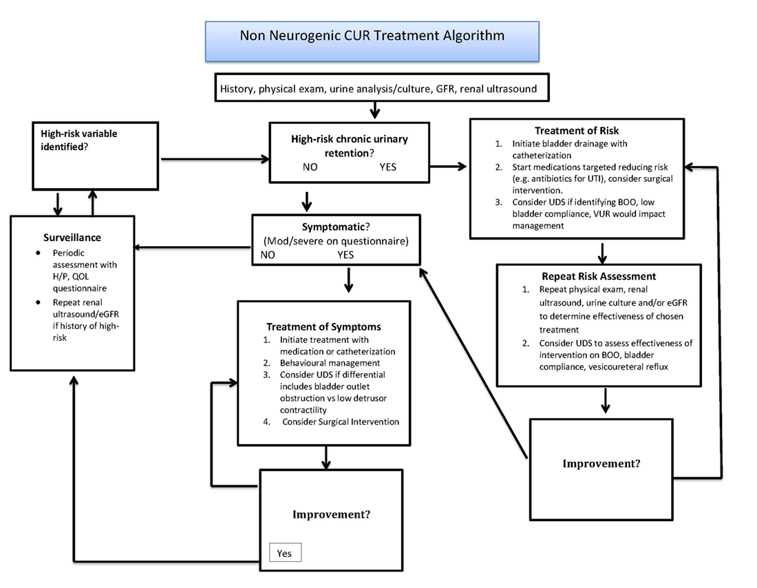 American Urological Association - Non-Neurogenic Chronic Urinary ...